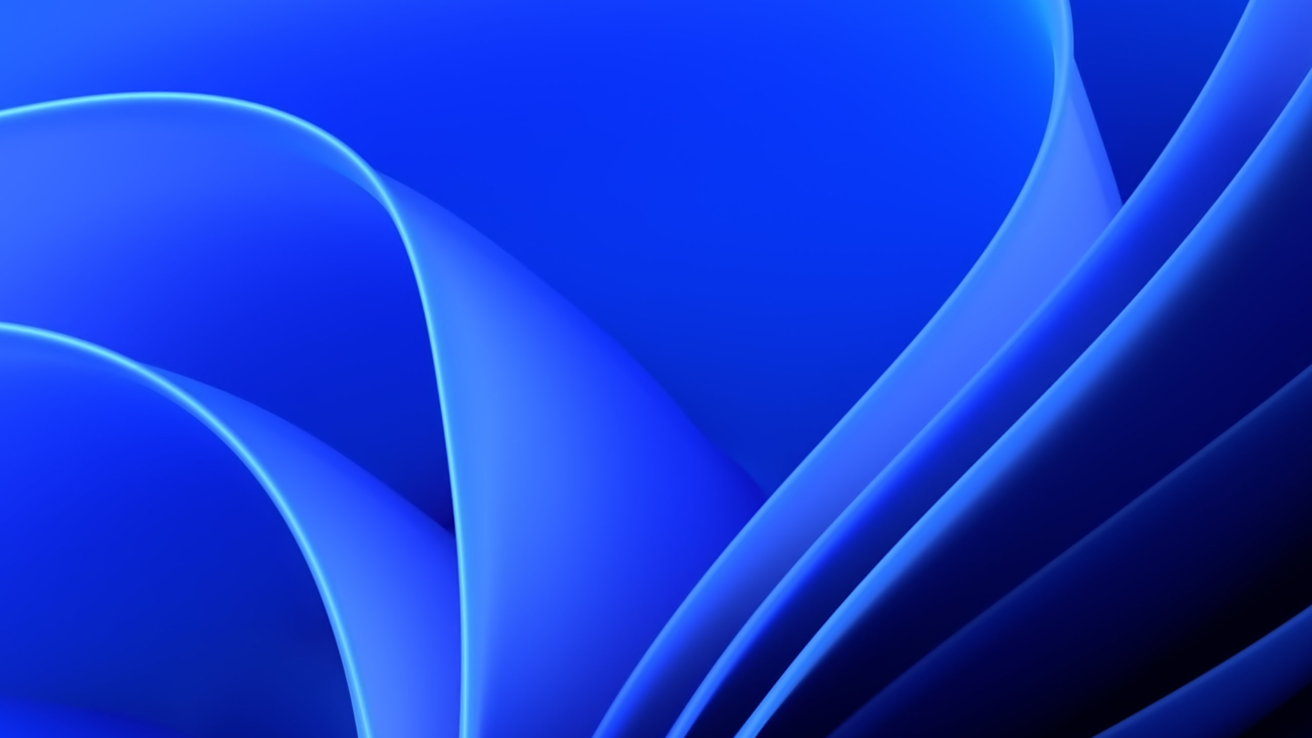 Windows 11 Wallpaper 19 scaled