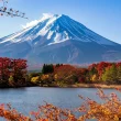 Mont Fuji volcan