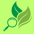 PlantIdentify Logo
