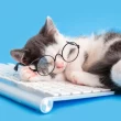 Un chat qui dort sur son clavier d'ordinateur