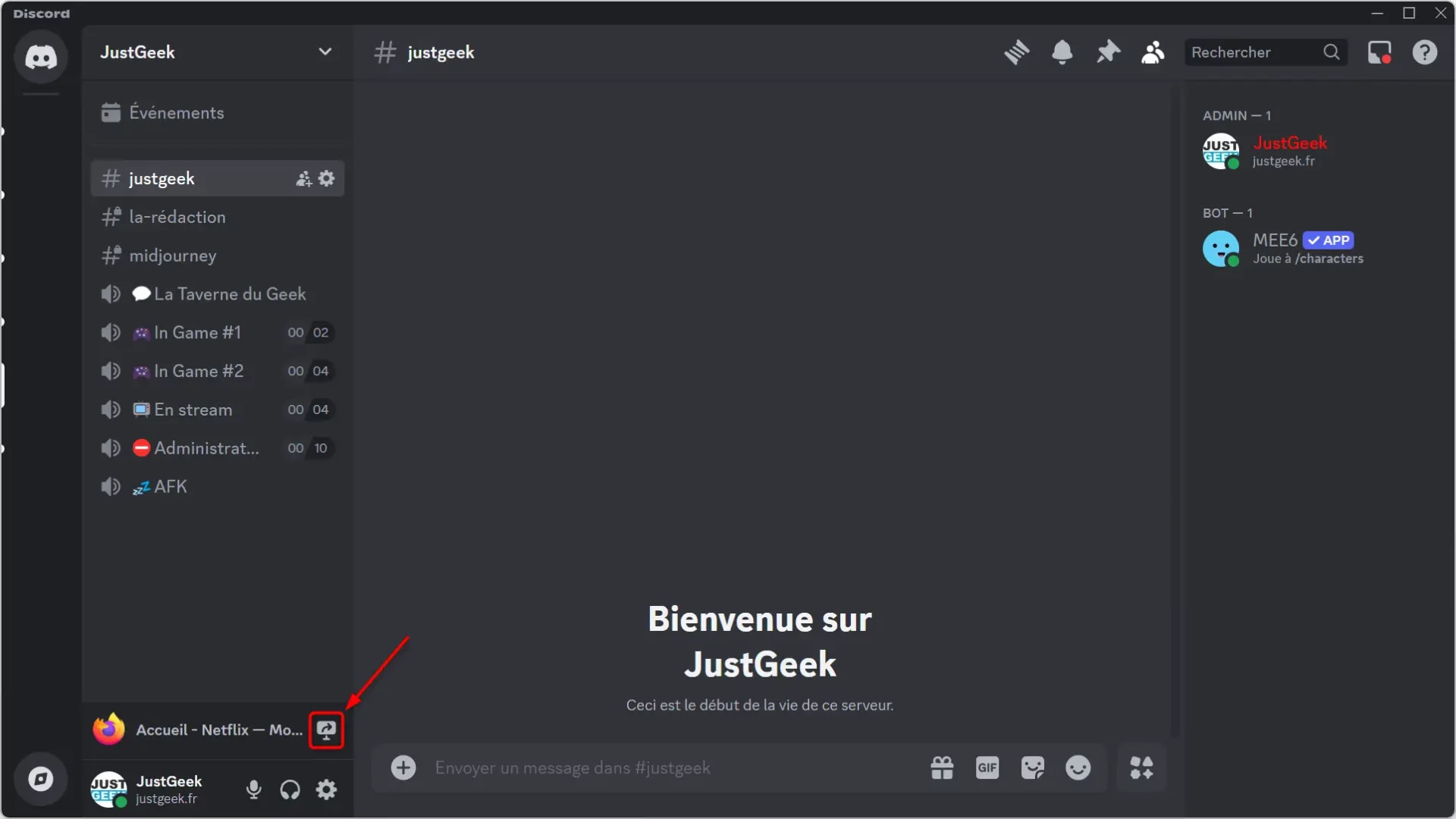 partage ecran discord