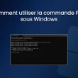 Commande Ping sous Windows