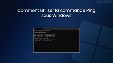 Commande Ping sous Windows