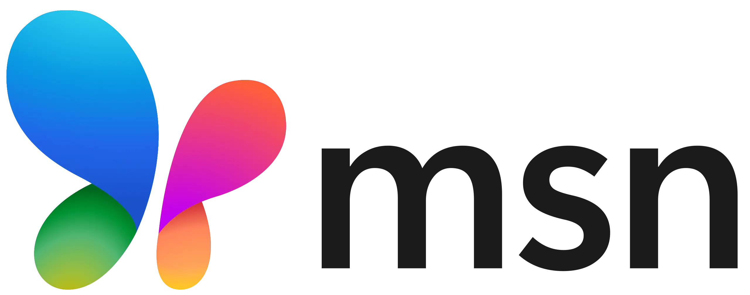 Nouveau logo MSN 2024