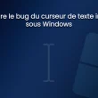 Résoudre le bug de curseur invisible ou blanc sous Windows