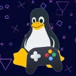 Vérifier la compatibilité des jeux sur Linux